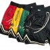 Men Sport Shorts Athletic Short with Pockets Polyester Ball Games Exercise Shorts Elastic Waist New Mesh Fitness Shorts
