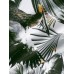 Mens All Over Tropical Plant Leaf Print Lapel Holiday Short Sleeve Shirts